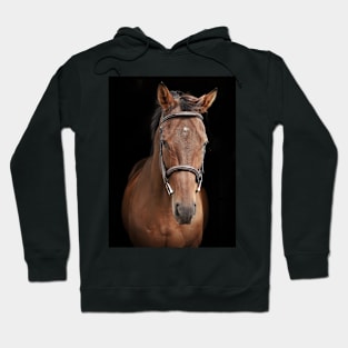 Mousquetaire Hoodie